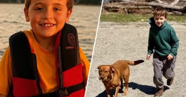 Mason Sundberg Obituary, Cause of Death – 8-Year-Old Sudbury Boy Dies After Falling Tree Incident at Camp